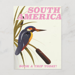 South America Vintage Kingfisher Travel print. Postcard
