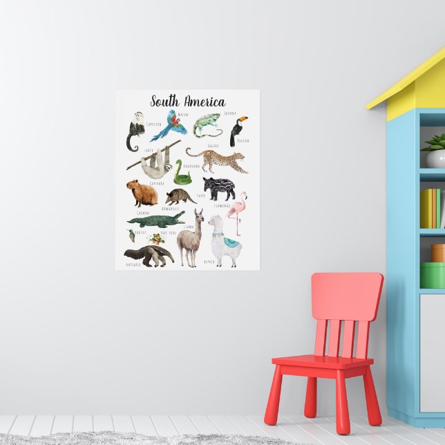 South American Animals | Education Classroom Poster (Nursery 1)