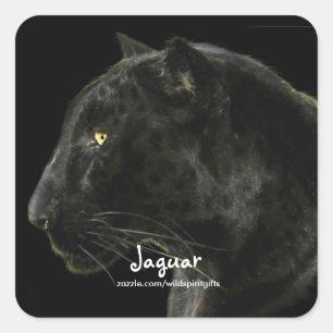 South American Black Jaguar Wildlife Collector Square Sticker
