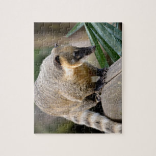 South American Coati on branch Jigsaw Puzzle