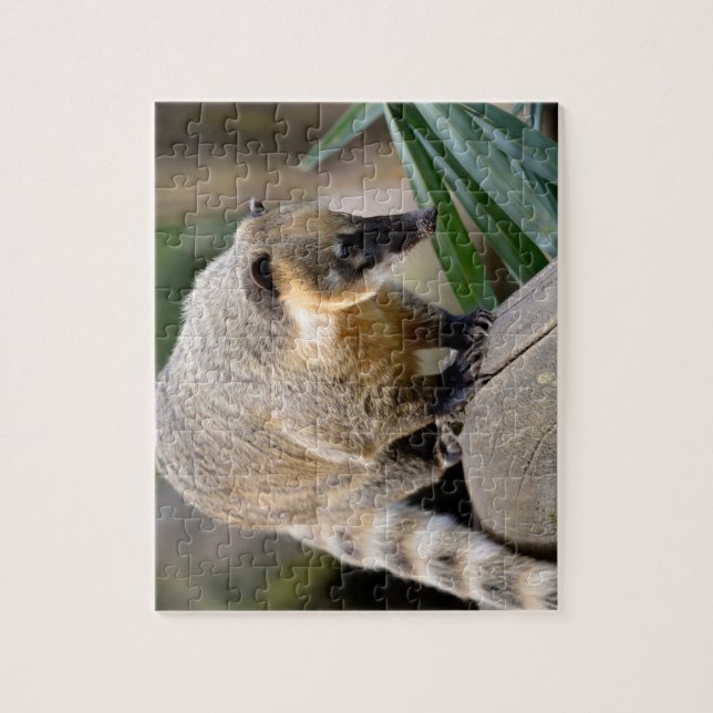 South American Coati on branch Jigsaw Puzzle (Vertical)