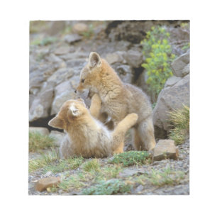 South American Grey Fox (Lycalopex griseus) pair 2 Notepad