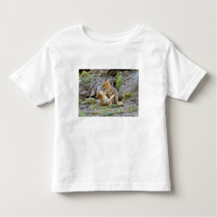 South American Grey Fox (Lycalopex griseus) pair 2 Toddler T-Shirt