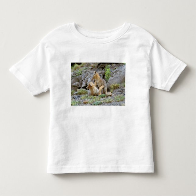 South American Grey Fox (Lycalopex griseus) pair 2 Toddler T-Shirt (Front)