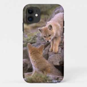 South American Grey Fox (Lycalopex griseus) pair iPhone 11 Case