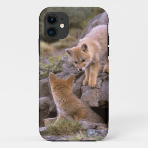 South American Grey Fox (Lycalopex griseus) pair iPhone 11 Case