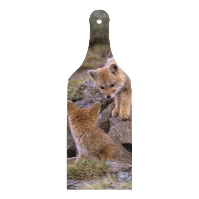 South American Grey Fox (Lycalopex griseus) pair Cutting Board (Front)