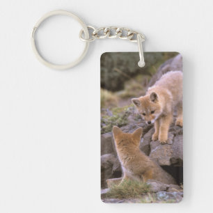 South American Grey Fox (Lycalopex griseus) pair Key Ring