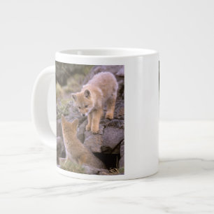 South American Grey Fox (Lycalopex griseus) pair Large Coffee Mug