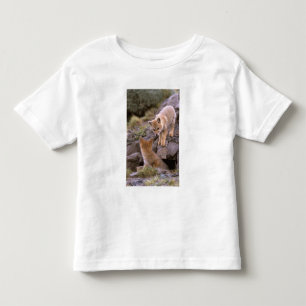 South American Grey Fox (Lycalopex griseus) pair Toddler T-Shirt
