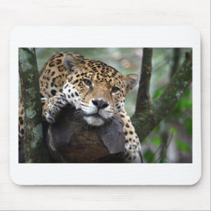 South American Jaguar Mouse Pad