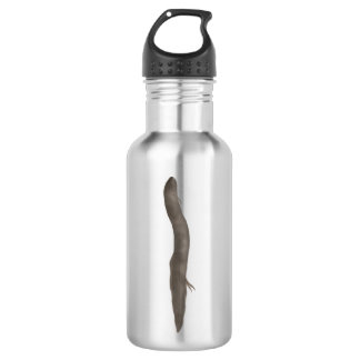 South American Lungfish 532 Ml Water Bottle