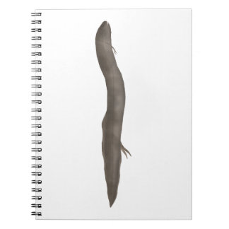 South American Lungfish Notebook