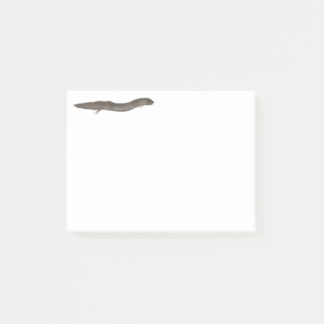South American Lungfish Post-it Notes (Front)