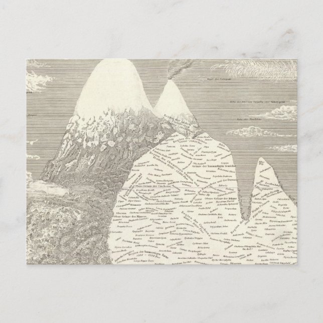 South American Vegetation Postcard (Front)