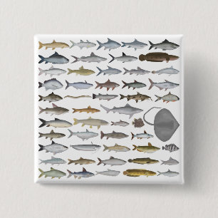 South Asia Freshwater Fish Group 15 Cm Square Badge