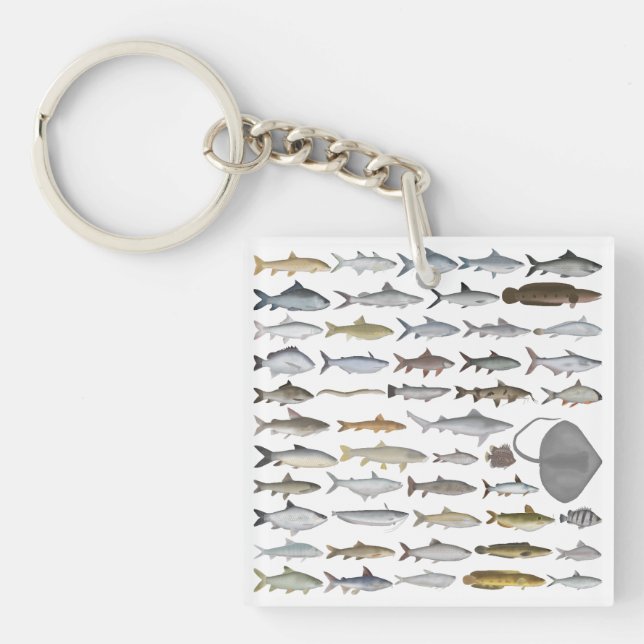 South Asia Freshwater Fish Group Key Ring (Front)
