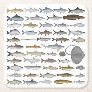South Asia Freshwater Fish Group Square Paper Coaster