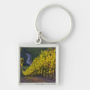 South Australia, Adelaide Hills, Summertown. 2 Key Ring