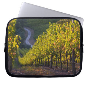 South Australia, Adelaide Hills, Summertown. 2 Laptop Sleeve
