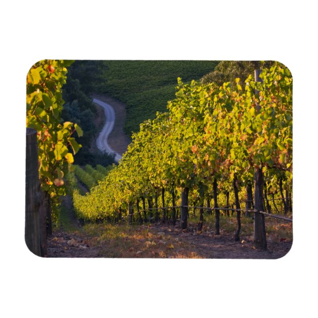 South Australia, Adelaide Hills, Summertown. 2 Magnet (Horizontal)