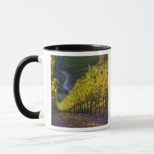 South Australia, Adelaide Hills, Summertown. 2 Mug