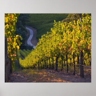 South Australia, Adelaide Hills, Summertown. 2 Poster