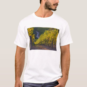 South Australia, Adelaide Hills, Summertown. 2 T-Shirt