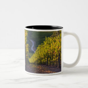 South Australia, Adelaide Hills, Summertown. 2 Two-Tone Coffee Mug