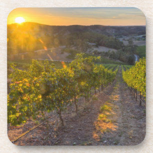 South Australia, Adelaide Hills, Summertown. Coaster