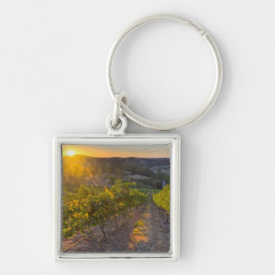 South Australia, Adelaide Hills, Summertown. Key Ring