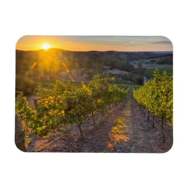 South Australia, Adelaide Hills, Summertown. Magnet (Horizontal)