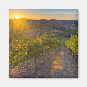 South Australia, Adelaide Hills, Summertown. Magnet