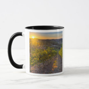 South Australia, Adelaide Hills, Summertown. Mug