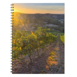 South Australia, Adelaide Hills, Summertown. Notebook