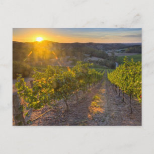 South Australia, Adelaide Hills, Summertown. Postcard