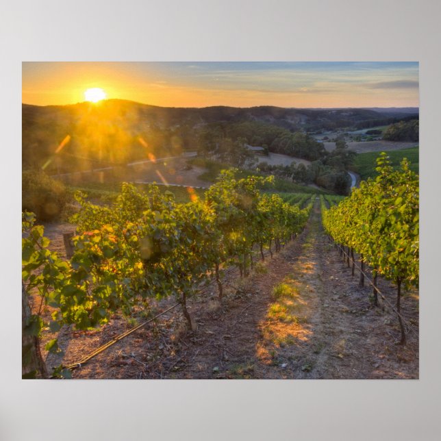 South Australia, Adelaide Hills, Summertown. Poster (Front)