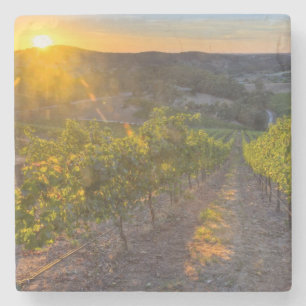 South Australia, Adelaide Hills, Summertown. Stone Coaster