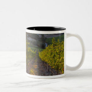 South Australia, Adelaide Hills, Summertown. Two-Tone Coffee Mug