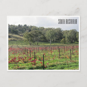 south australia winery postcard