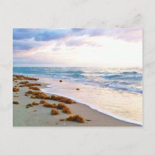 South Beach Miami Postcard