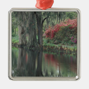 South Carolina, Charleston Metal Tree Decoration