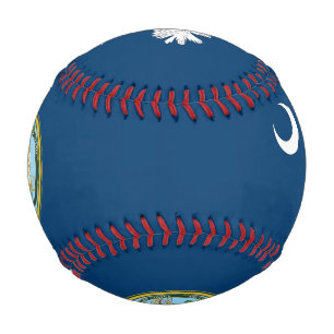 South Carolina flag Baseball