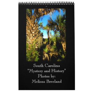 South Carolina ~ Mystery and History Calendar
