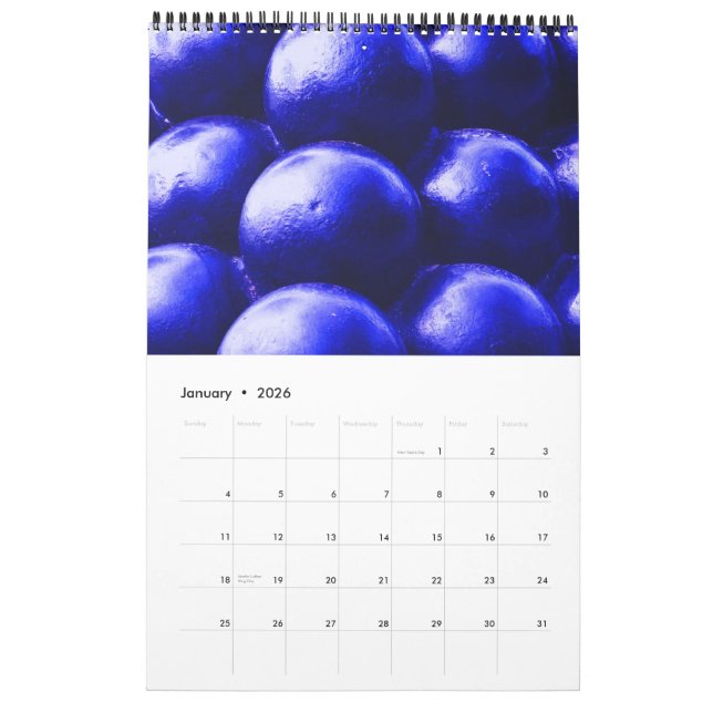 South Carolina ~ Mystery and History Calendar (Jan 2026)