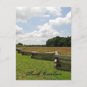 South Carolina Postcard