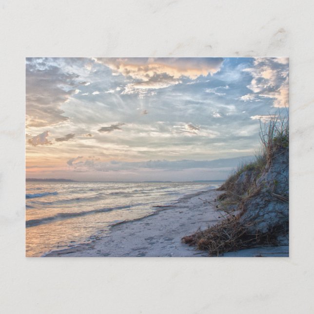 South Carolina Postcard (Front)