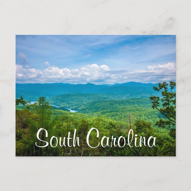 south carolina postcard (Front)