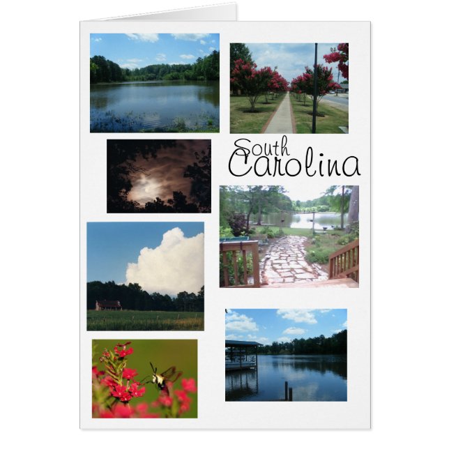 South Carolina Scenes (Front)
