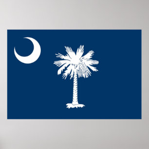 South Carolina State flag Poster